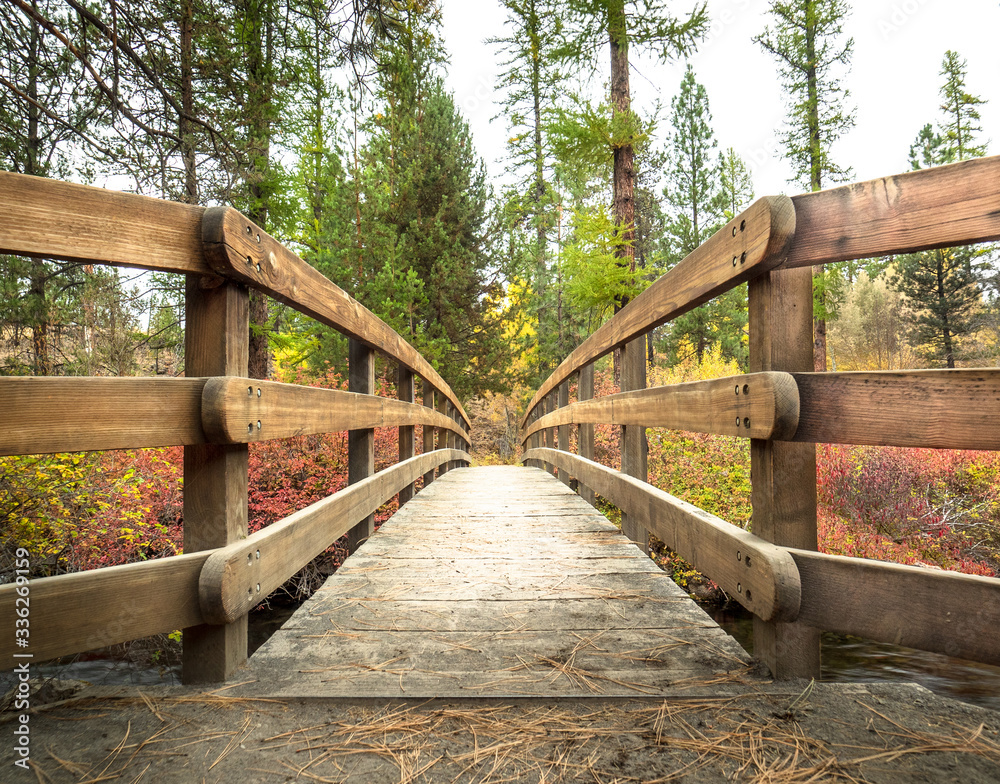 Autumn Bridge