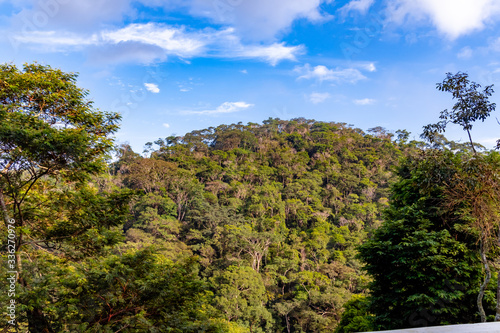 View of hill with dense vegetation of Atlantic forest  blue sky with few clouds  Areal  Rio de Janeiro  Brazil