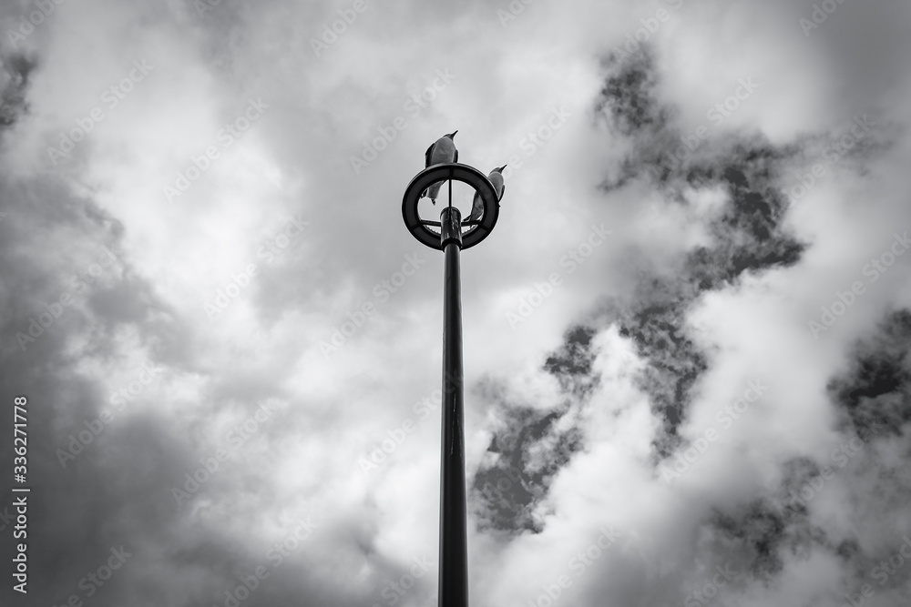 Seagulls sitting on top of a street lamp with sky and clouds background, Istanbul, Turkey Seagulls sitting on top of a street lamp with sky and clouds background, Istanbul, Turkey