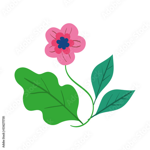 flower with leaves design  natural floral nature plant ornament garden decoration and botany theme Vector illustration