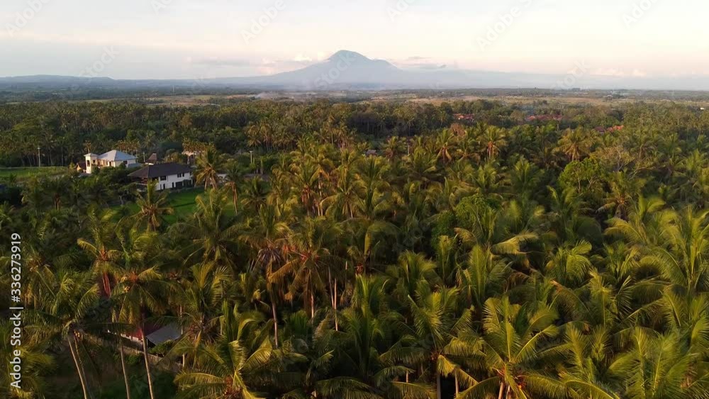 Shooting with drone, a beautiful view of the tropical beach and waves in the ocean, green islands with palm trees. Shooting with drone, a beautiful view of the tropical beach and waves in the ocean, green islands with palm trees.