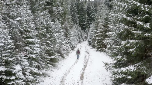Following pretty girl walking in winter park. White winter forest with snowy trees, after snowfall. 