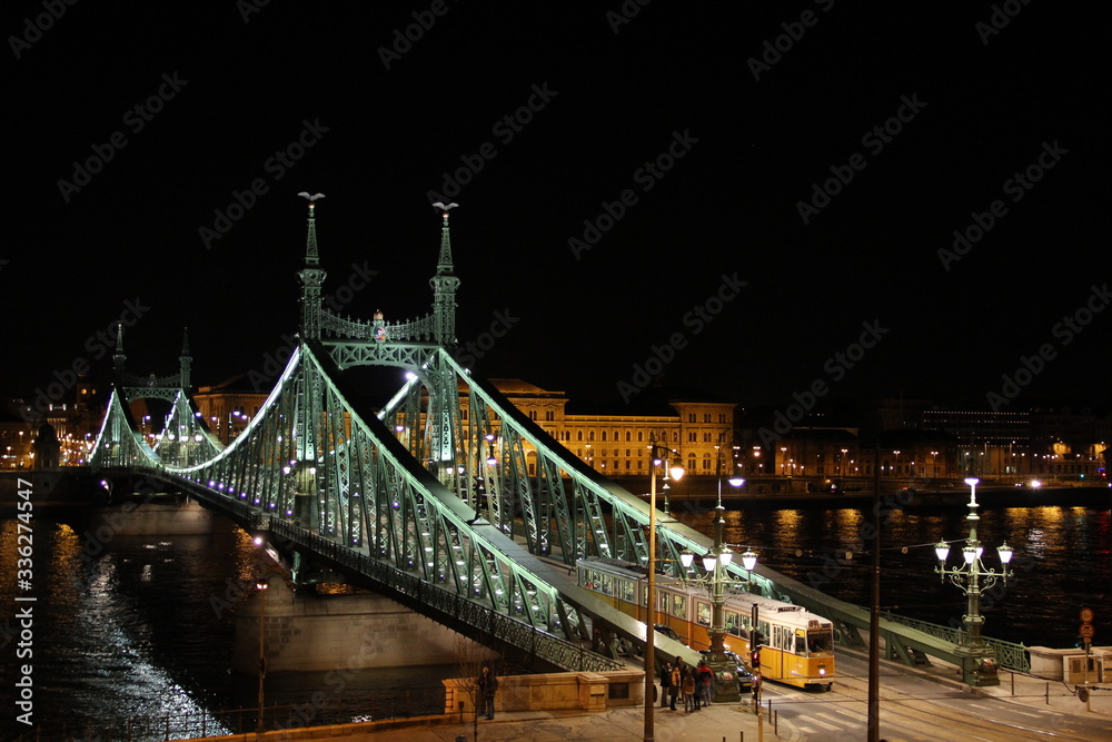 Fototapeta premium The ligths of Budapest