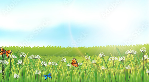 Nature scene background with butterflies in the garden