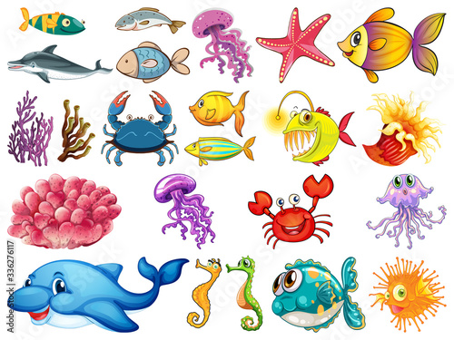 Large set of sea creatures on white background
