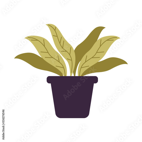 houseplant in pot isolated icon