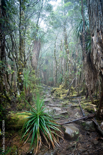 Overland Track - Tasmania photo