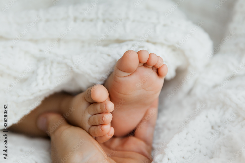 Mother holding feet of newborn daughter, closeup of infant toes on white blanket Mother holding feet of newborn daughter, closeup of infant toes on white blanket
