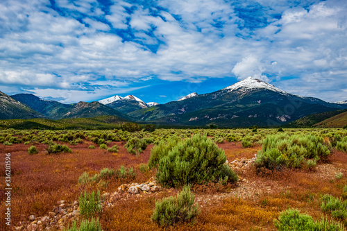 0000241_Wheeler Peak viewed from a field adorned with spring colors _2188