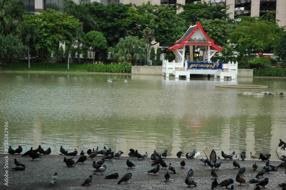 custom made wallpaper toronto digitalThailand Tour and landscaping 