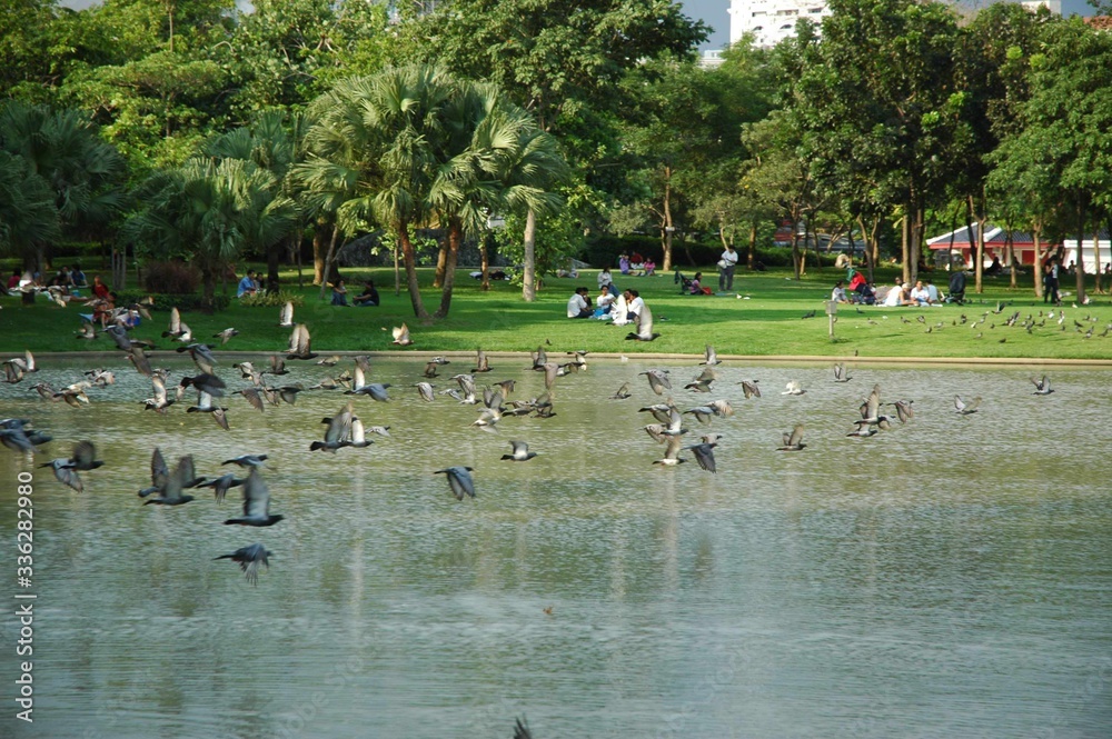 custom made wallpaper toronto digitalThailand Tour and landscaping