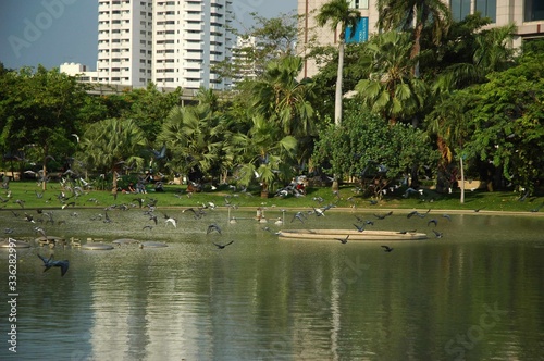 Thailand Tour and landscaping 