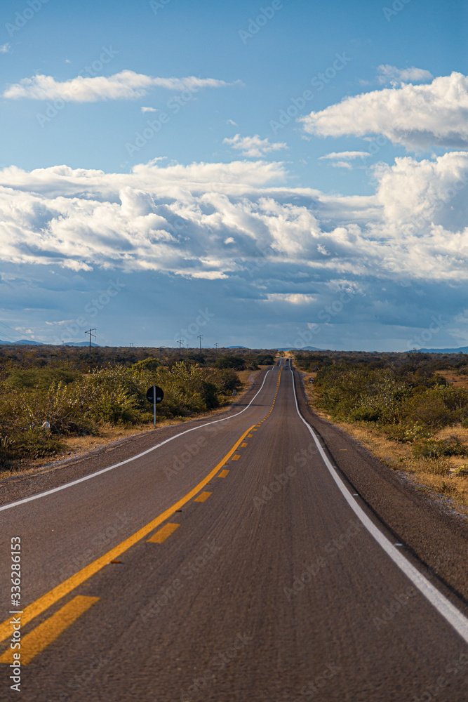 Roads to wine