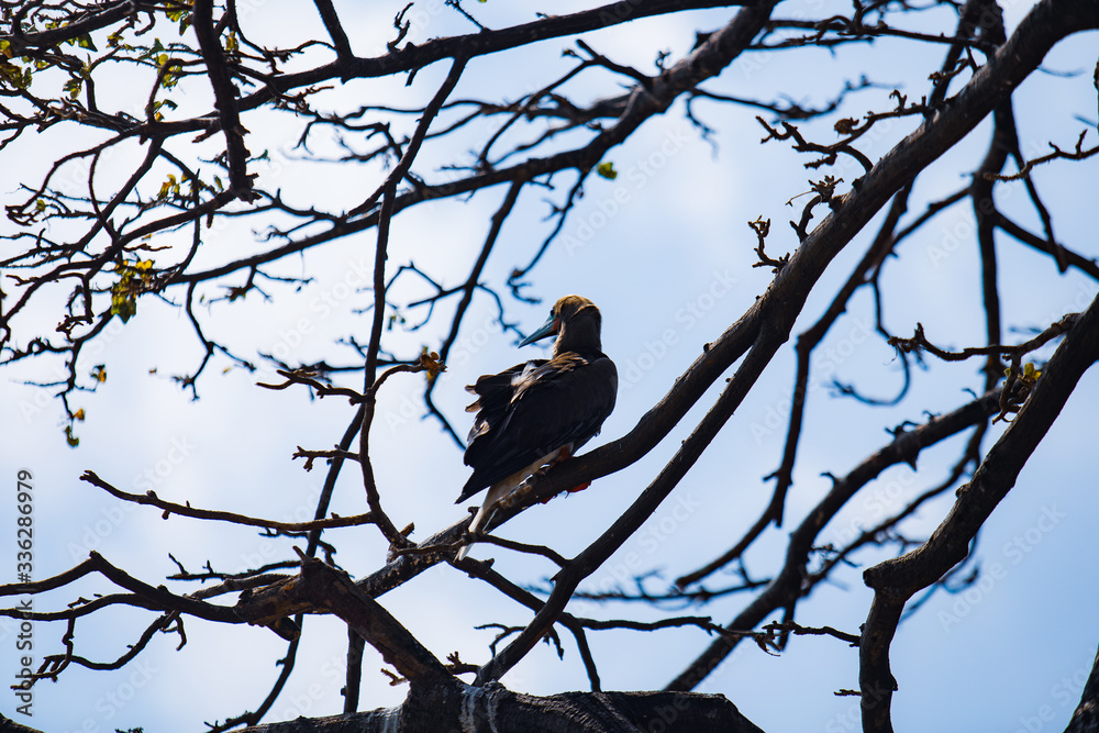 looking for her partner