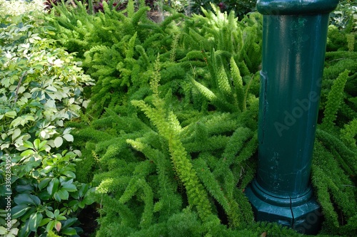 Proxiimo ao lago em Celebracion