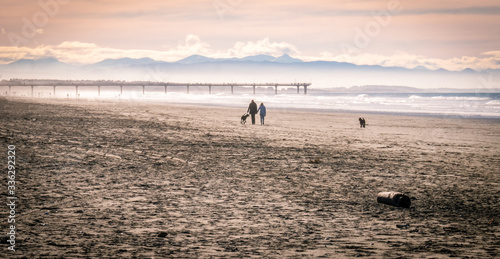 Couple with dogs walking on the beach during colorful sunset, shot at New Brighton Beach, Christchurch, New Zealand.