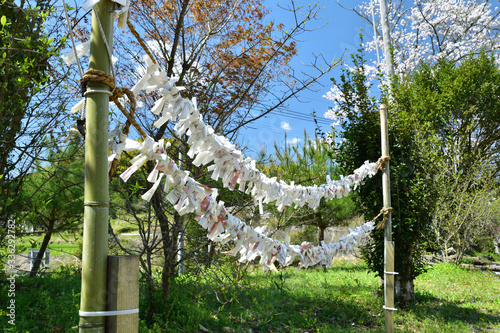 神社のおみくじ掛け