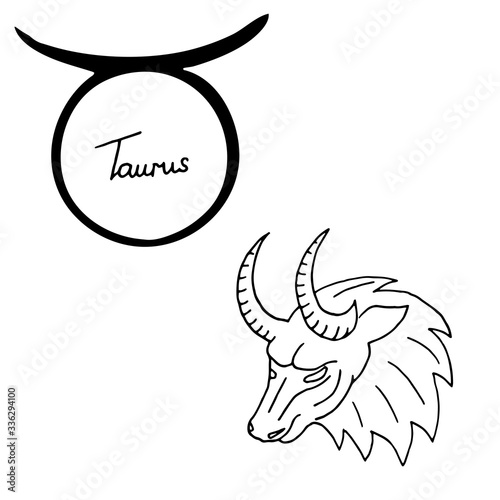 Zodiac sign Taurus vector illustration isolated on white background.
