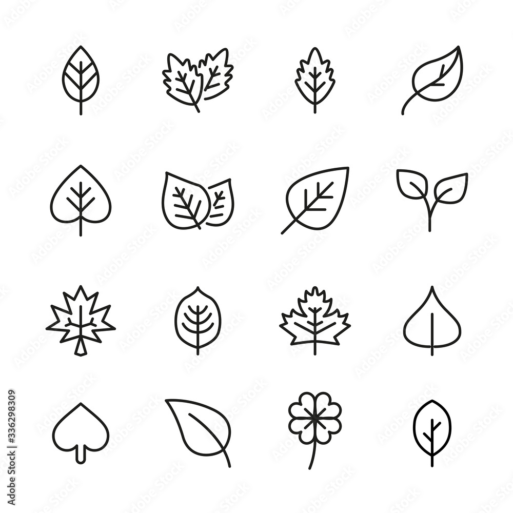 Fototapeta Modern thin line icons set of leaf.