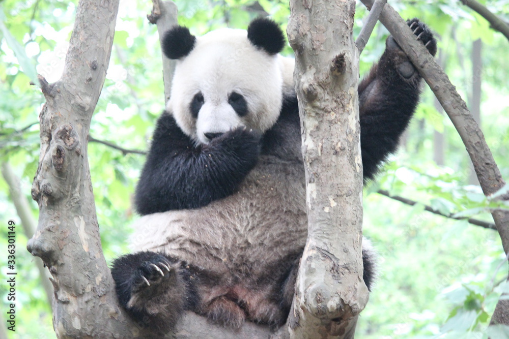 Obraz premium ここだけの話なんですが・・・・