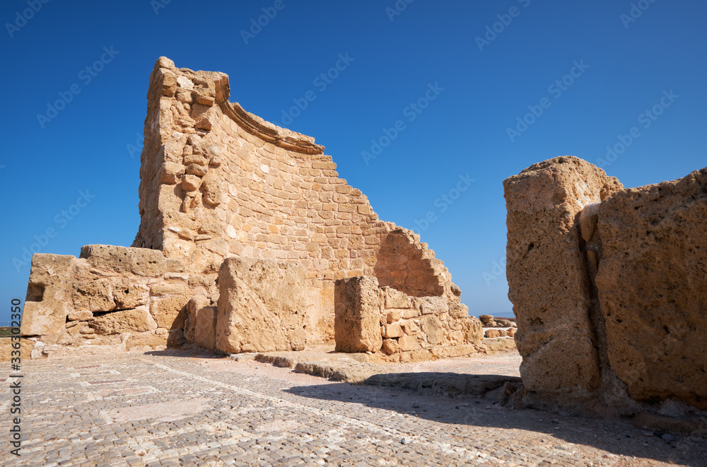The remains of the ancient Roman House of Theseus. Paphos Archaeological Park. Cyprus The remains of the ancient Roman House of Theseus. Paphos Archaeological Park. Cyprus