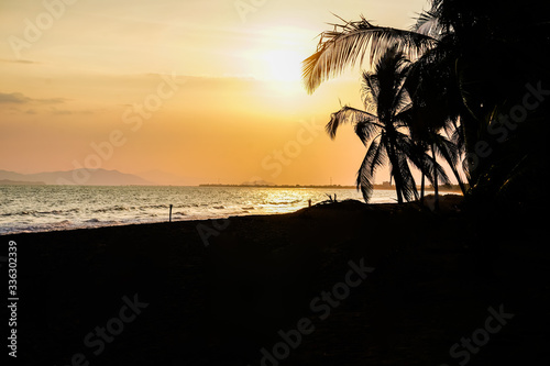 Beautiful sunset on the beach with the silhouette of the palm trees 