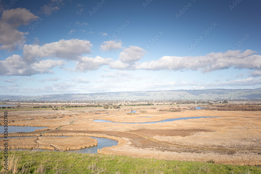 landscape with a river landscape with a river