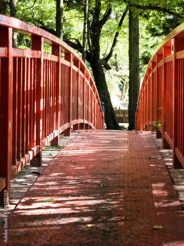 Red bridge across the Togawa river leading to Manji Stone Buddha in Shimosuwa - Nagano prefecture, Japan photo