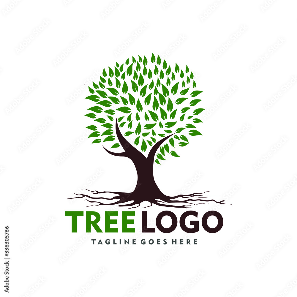 Obraz premium tree with green leaves