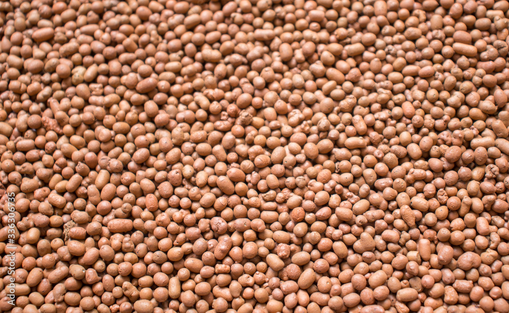 close up of a pile of corn seeds close up of a pile of corn seeds