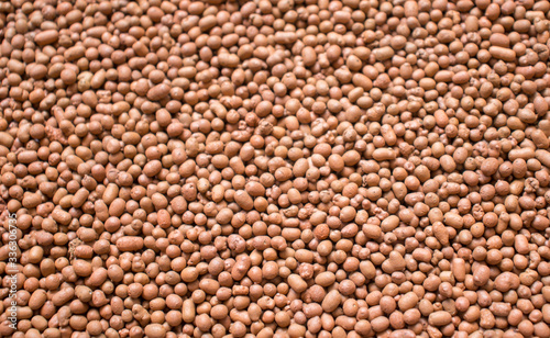 close up of a pile of corn seeds