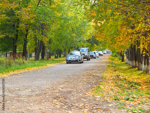 Wedding procession rides along the autumn alley. Russian wedding tradition. Russia, Ural