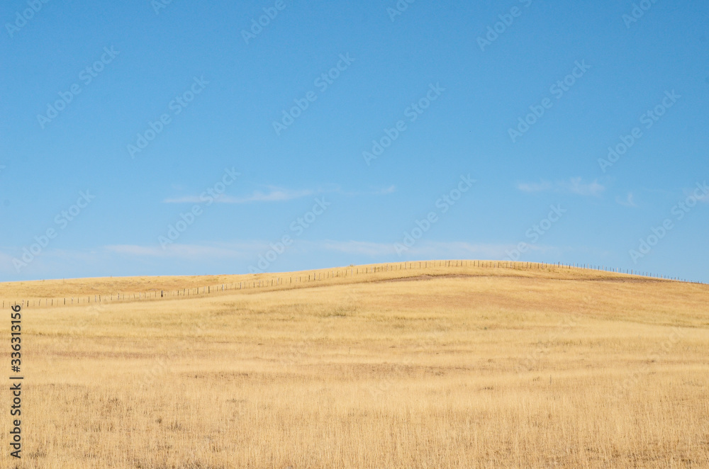 Dry grass ranch in summer