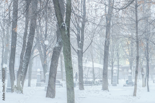  Snowfall in the park in December