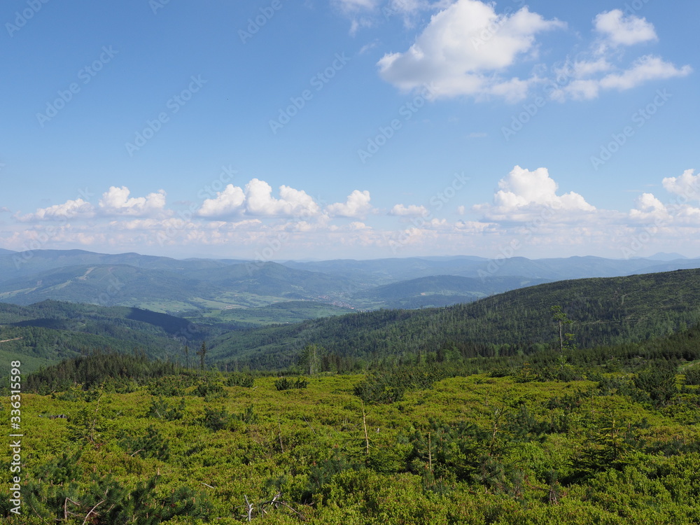 Fototapeta premium Beauty Beskids Mountains range near Salmopol pass Poland