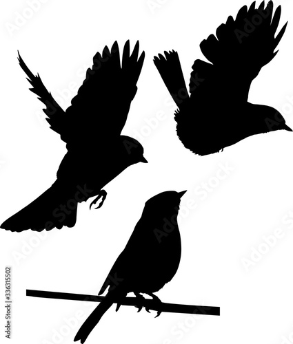 set of three tits black silhouettes illustration