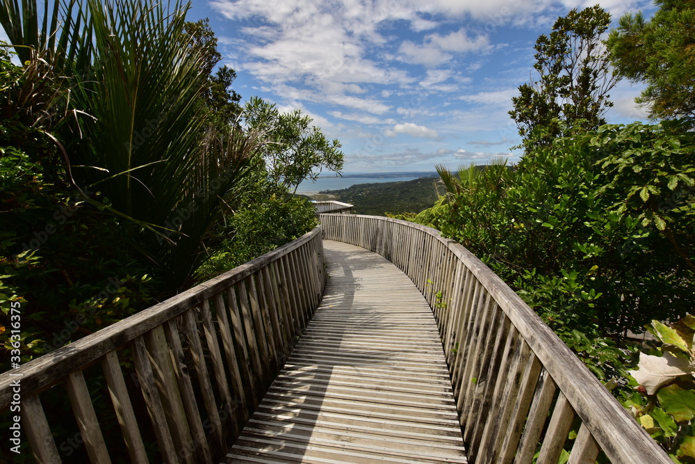 A wooden walkway bridge with the view