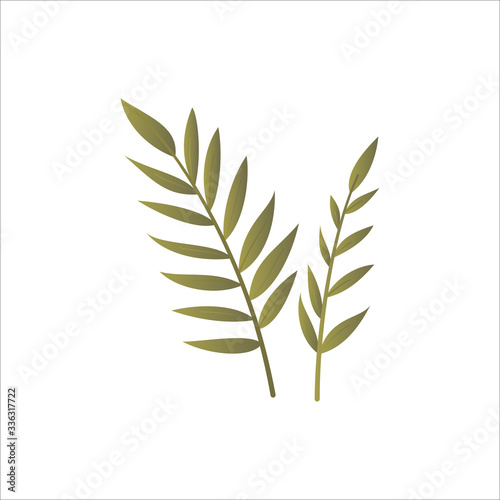 Wild field grass with leaves and stem. Simple meadow plant isolated on white background. Cartoon floral element template in gradient color style. Symbol, logo or icon. Flat vector illustration