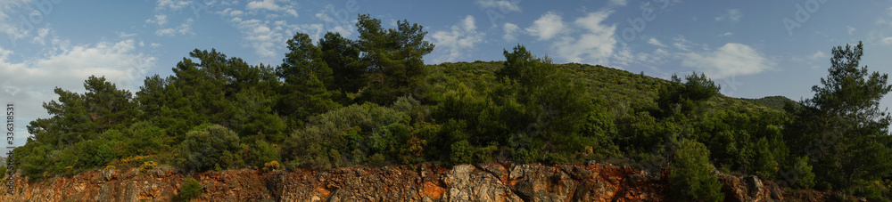 Panoramic view of a hill overgrown with trees and shrubs