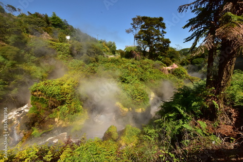 Boiling water stream through bush thermal valley