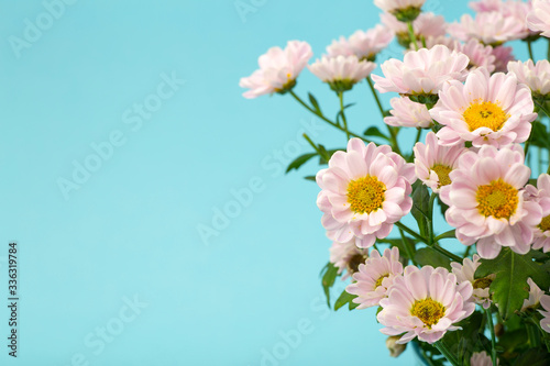 Pink flowers on a colored minimal background. Floral background concept © uladzimirzuyeu