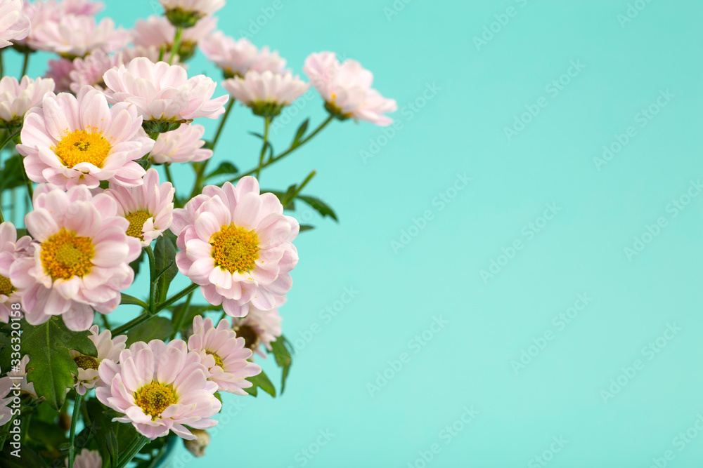 Pink flowers on a colored minimal background. Floral background concept