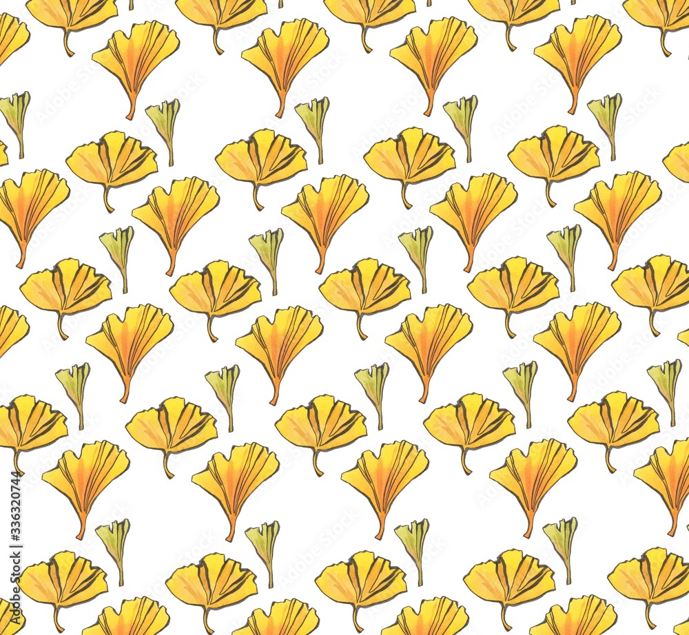 Ginkgo pattern on a white background