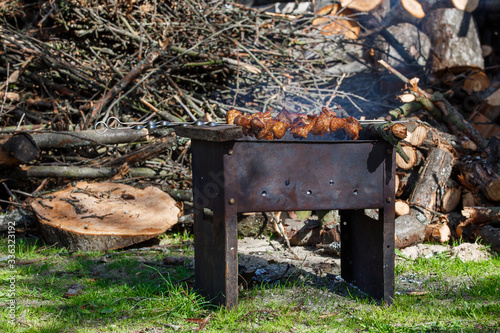 Mongol with barbecue, firewood with an ax in a clearing with green grass
