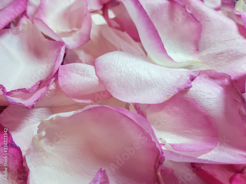 Background of pink rose petals. Delicate romantic, wedding pattern
