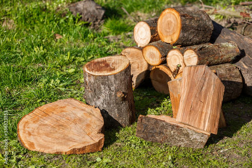 Firewood with an ax in a clearing with green grass