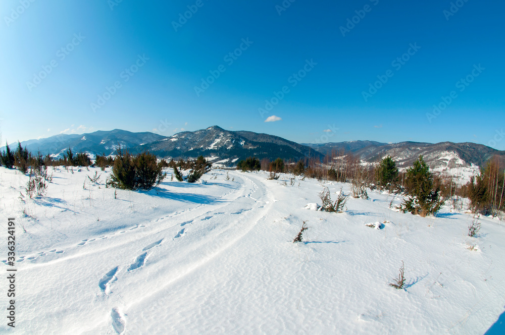 clearing in the winter mountains on a sunny day for outdoor activities and walks clearing in the winter mountains on a sunny day for outdoor activities and walks