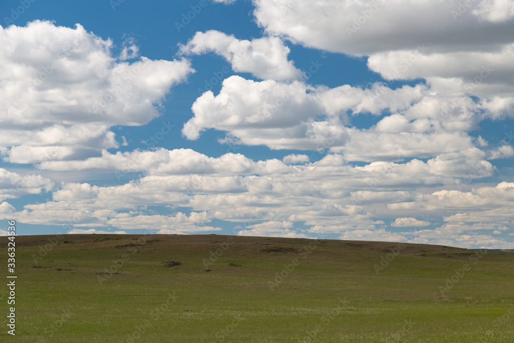 blue sky with Cumulus clouds, field (steppe) blue sky with Cumulus clouds, field (steppe)