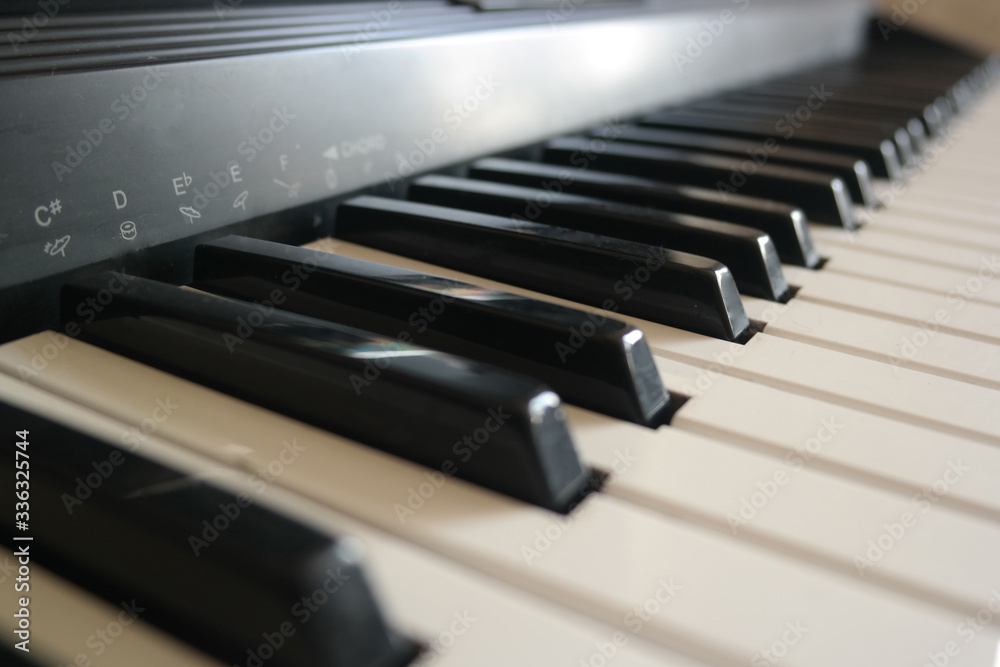 keyboard synthesizer , black and white keys keyboard synthesizer , black and white keys
