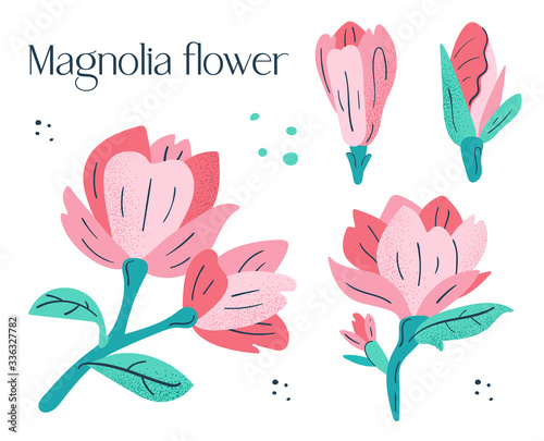 Little pink magnolia flowers set. Flora design elements. Wild life, nature, blooming flowers, botanic. Flat colourful vector illustration icon sticker isolated on white background.